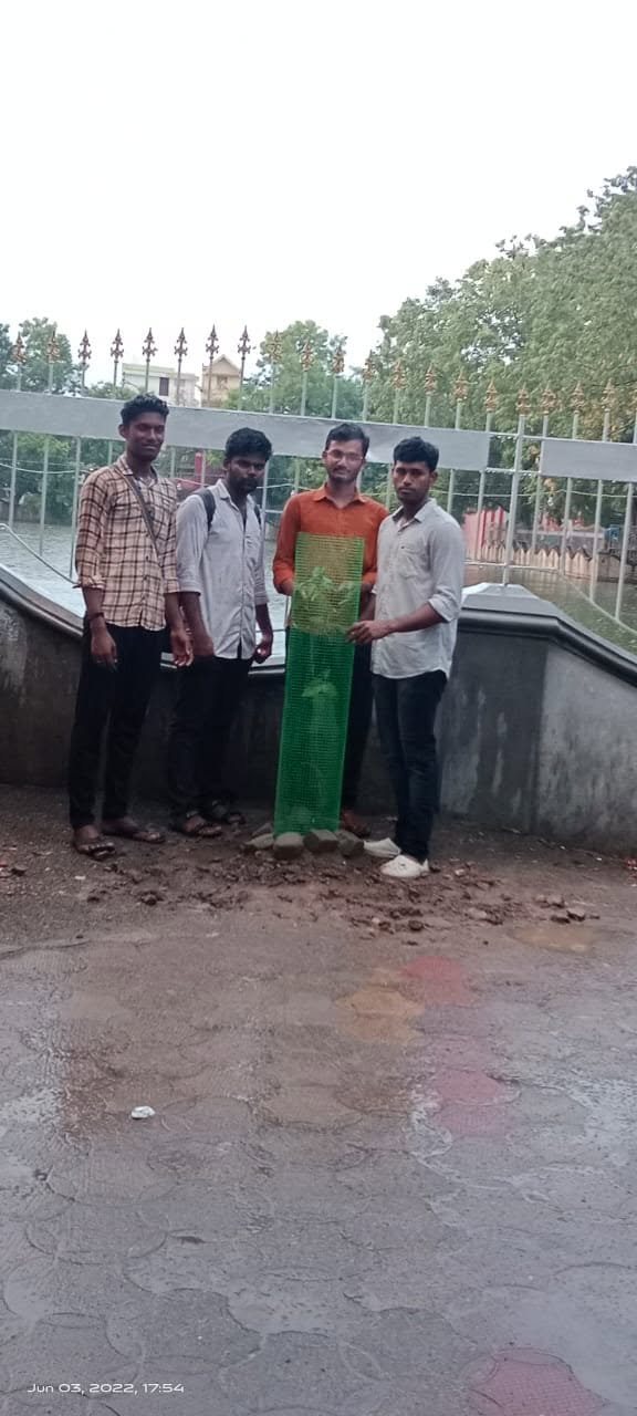 Environmental Activity 4